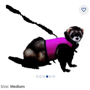 Kaytee Comfort Harness & Leash